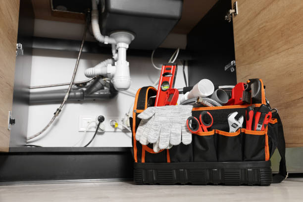 Best Clogged Drain Plumber  in Hacienda Heights, CA